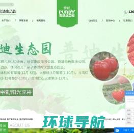 葡萄苗,葡萄苗木价格,新品种葡萄苗出售,辽宁锦州葡萄树苗批发基地