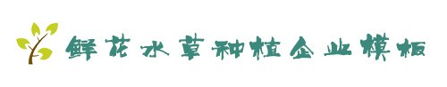 球王会·(中国)官方网站