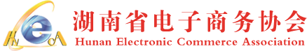 湖南省电子商务协会
