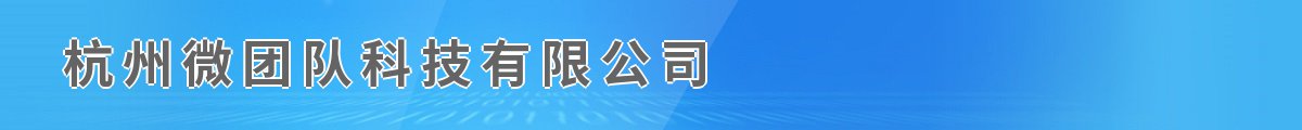杭州微团队科技有限公司