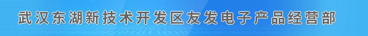 武汉东湖新技术开发区友发电子产品经营部